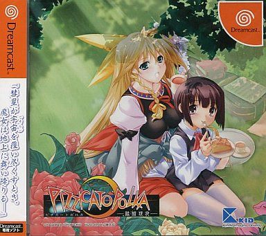 ピチカートポルカ～縁鎖現夜～