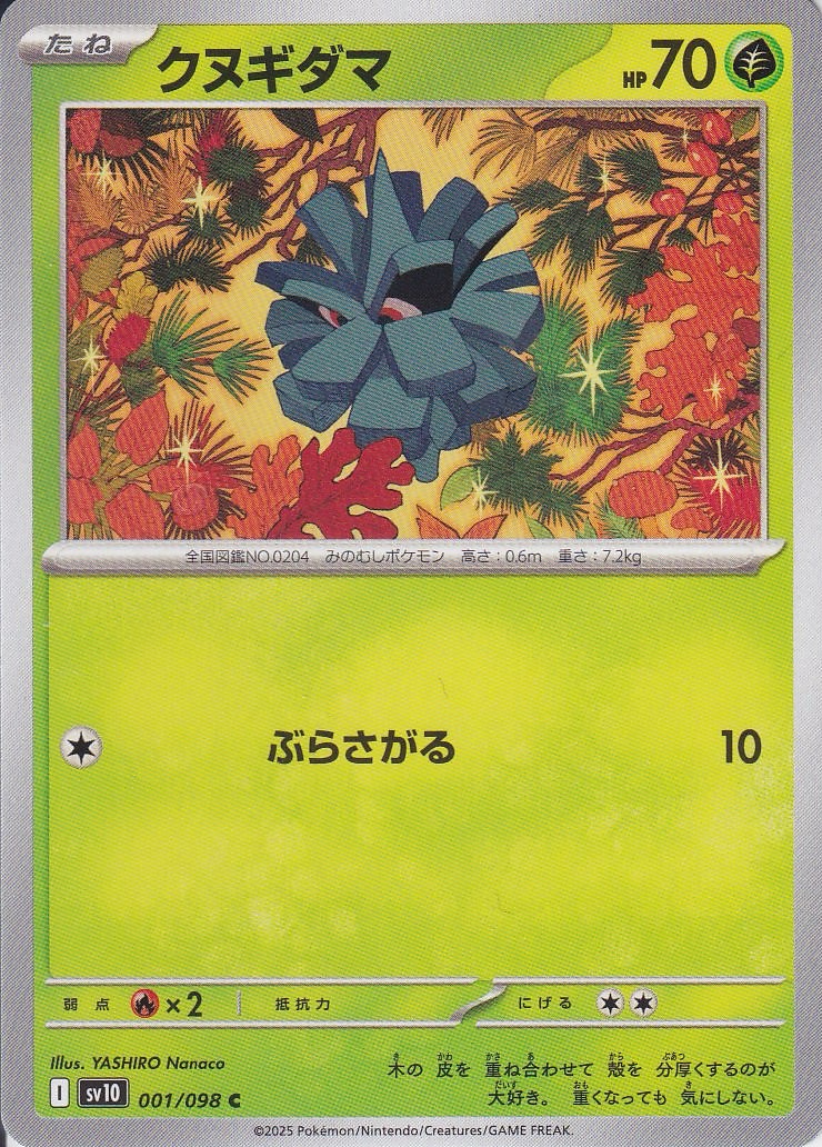 クヌギダマ [C_001/098_SV10]