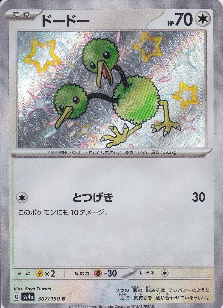 ドードー [S_307/190_SV4a]