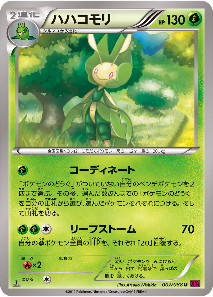 ハハコモリ [U_007/088_XY4]