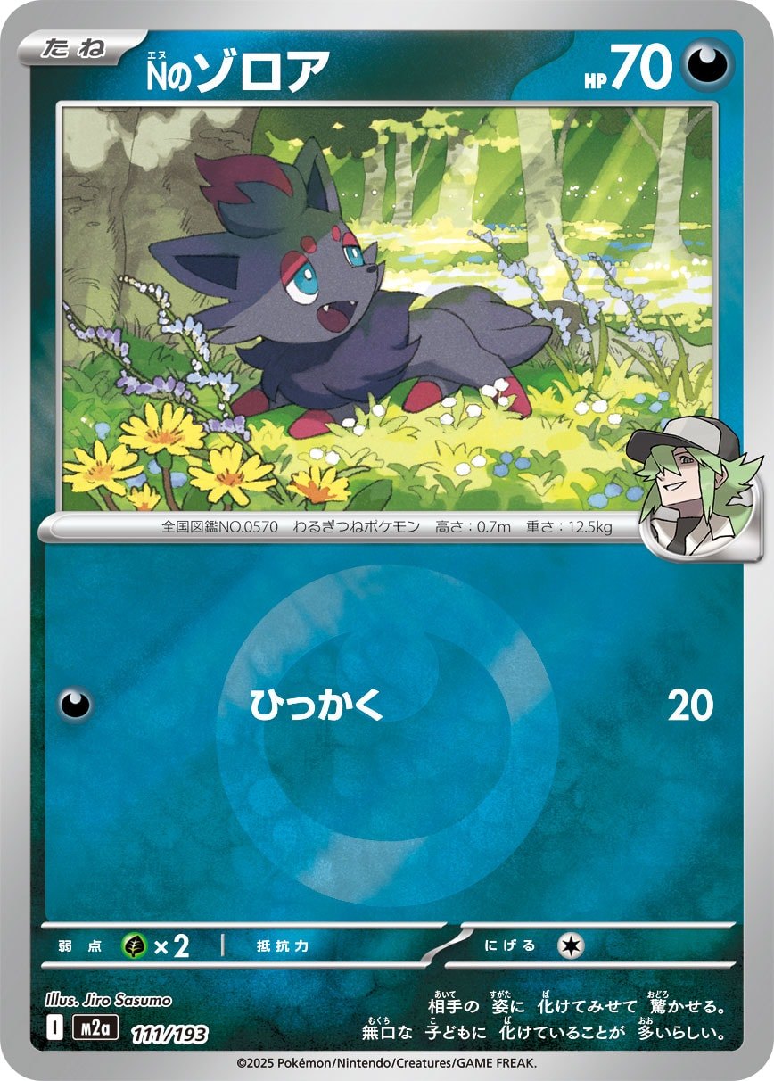 Nのゾロア(M2a 111/193)