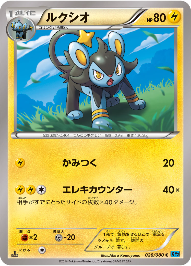 ルクシオ [C_028/080_XY2]