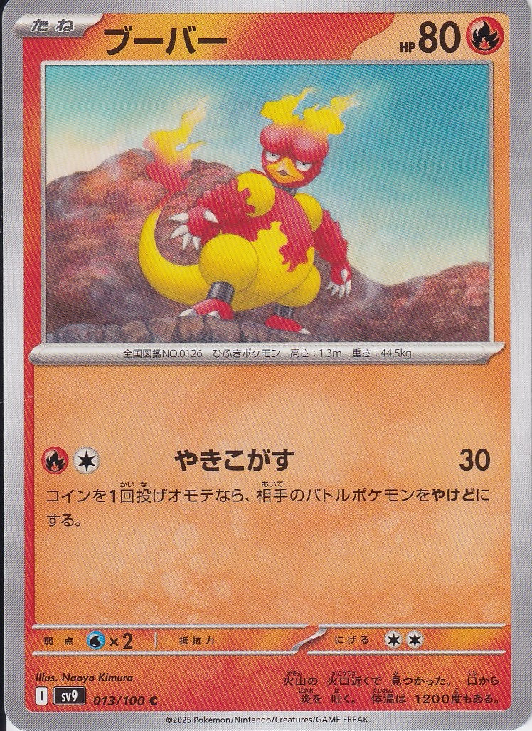 ブーバー [C_013/100_SV9]