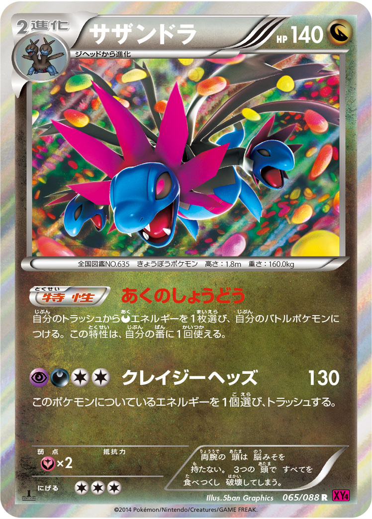サザンドラ [R_065/088_XY4]