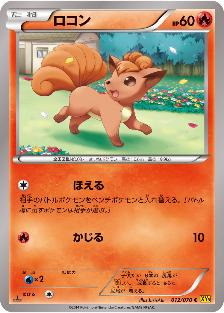 ロコン [C_012/070_XY5-Bg]