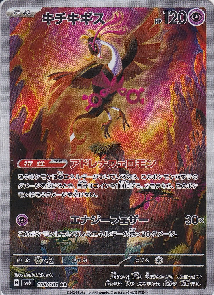 キチキギス [AR_108/101_SV6]