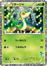 ツタージャ [-_001/037_HSt]