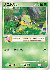 ナエトル LV.9 [-_001/012_CPr]