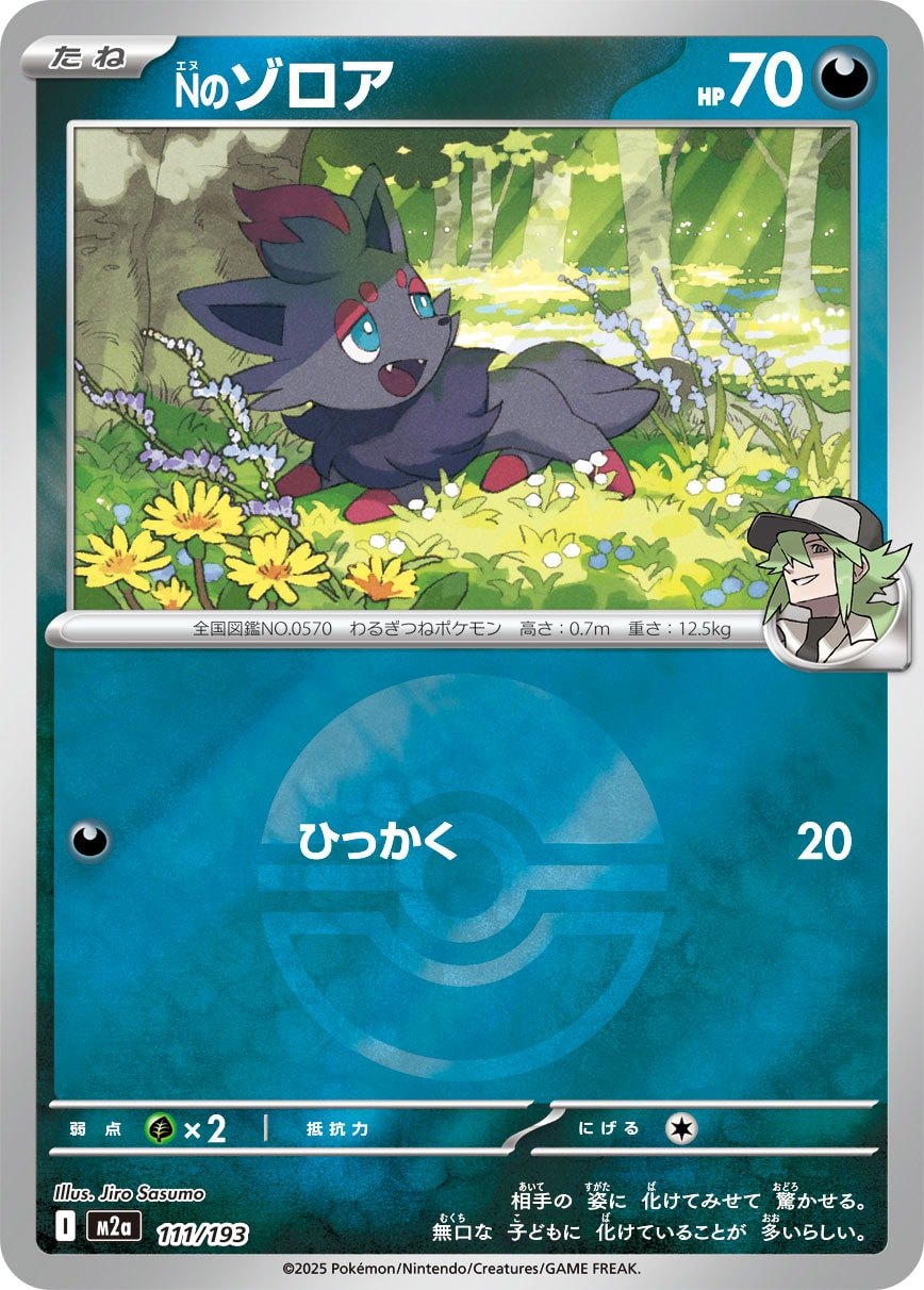 Nのゾロア(M2a 111/193)