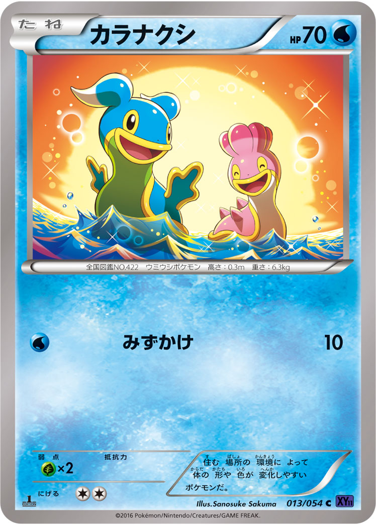 カラナクシ [C_013/054_XY11-Bb]