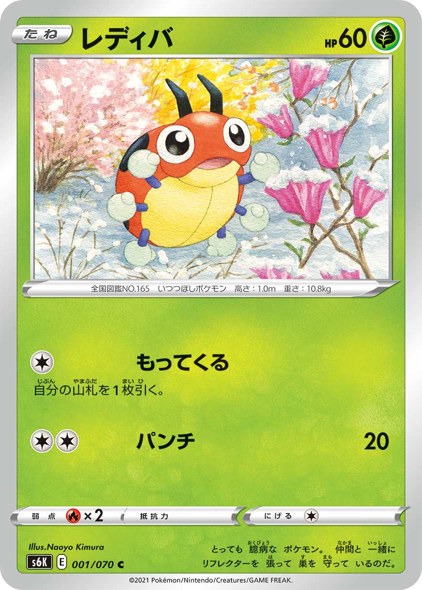 レディバ [C_001/070_S6K]