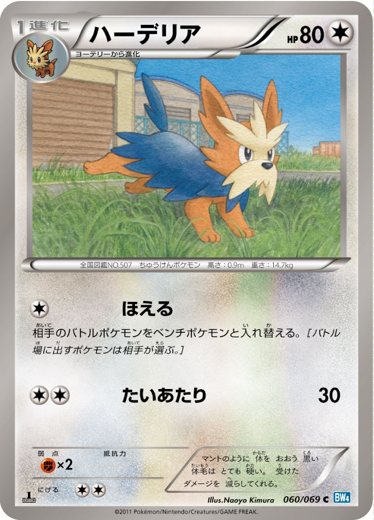 ハーデリア [C_060/069_BW4-B]