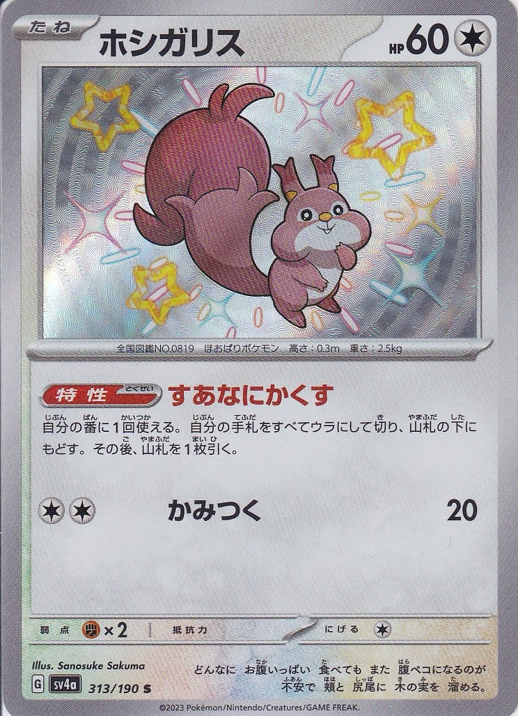 ホシガリス [S_313/190_SV4a]