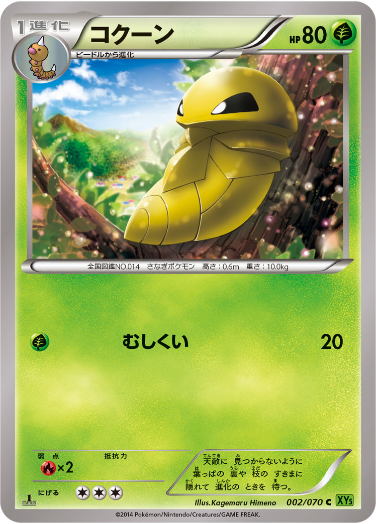 コクーン [C_002/070_XY5-Bt]