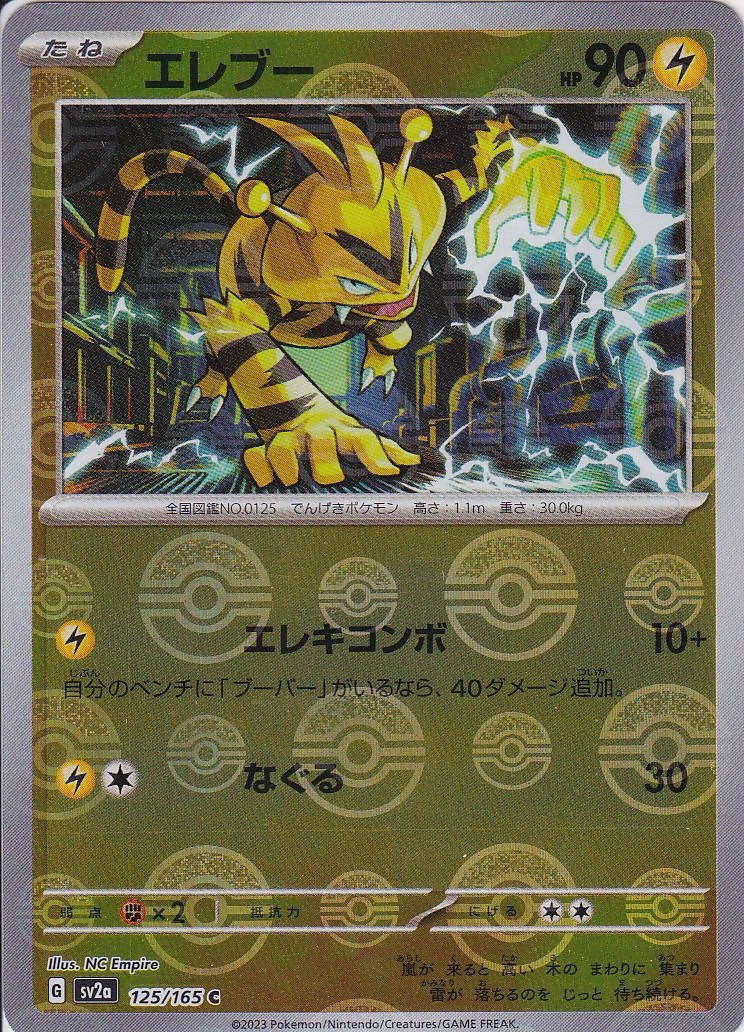 エレブー [C_125/165_SV2a] (モンスターボールミラー)