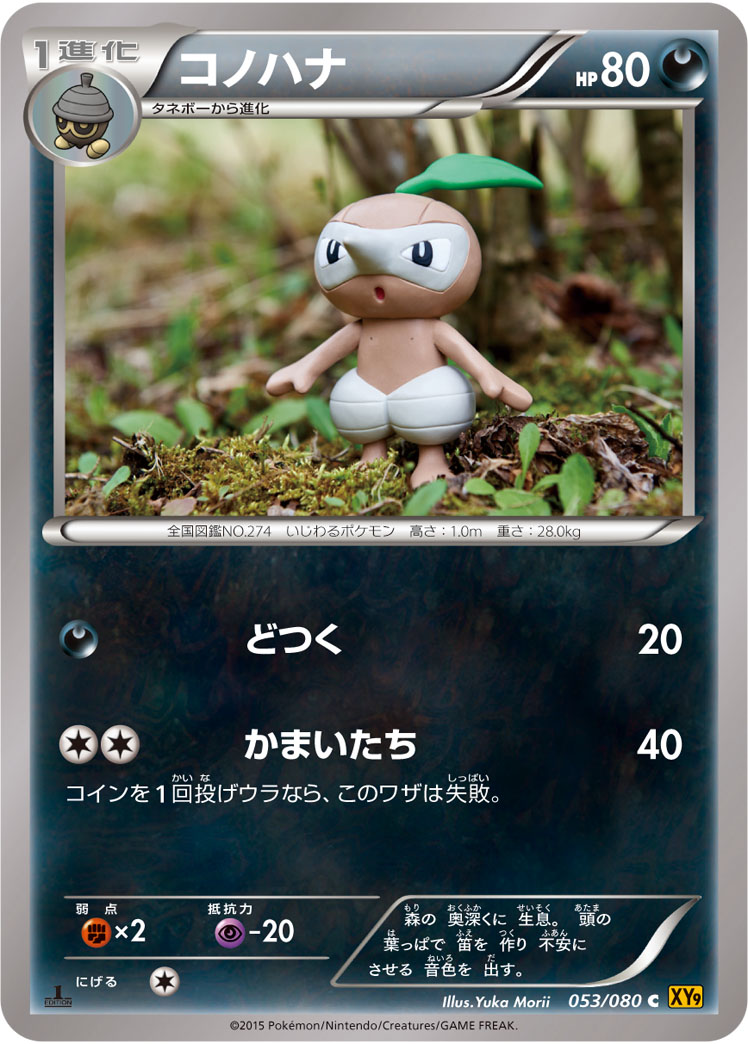 コノハナ [C_053/080_XY9-B]