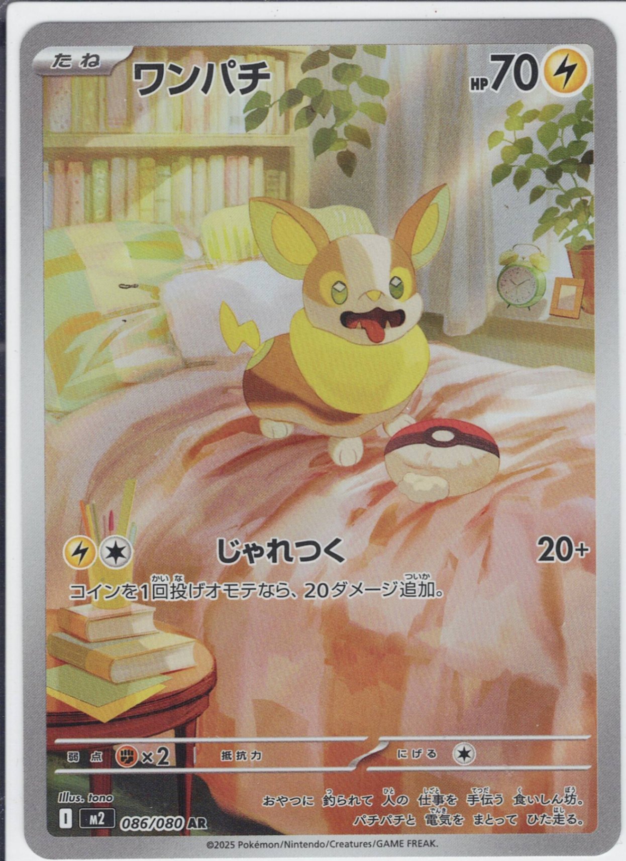 ワンパチ [AR_086/080_M2]