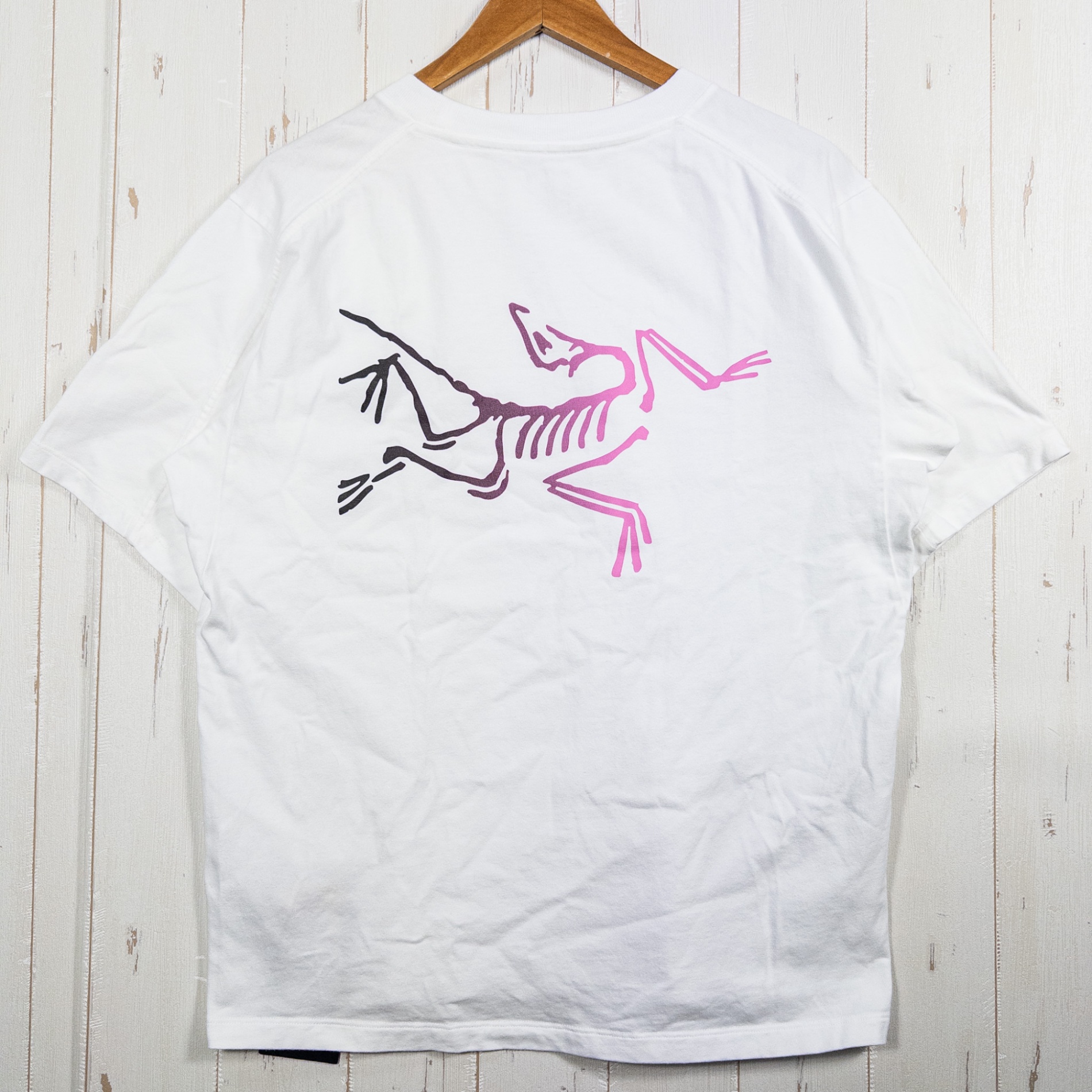 【Men's