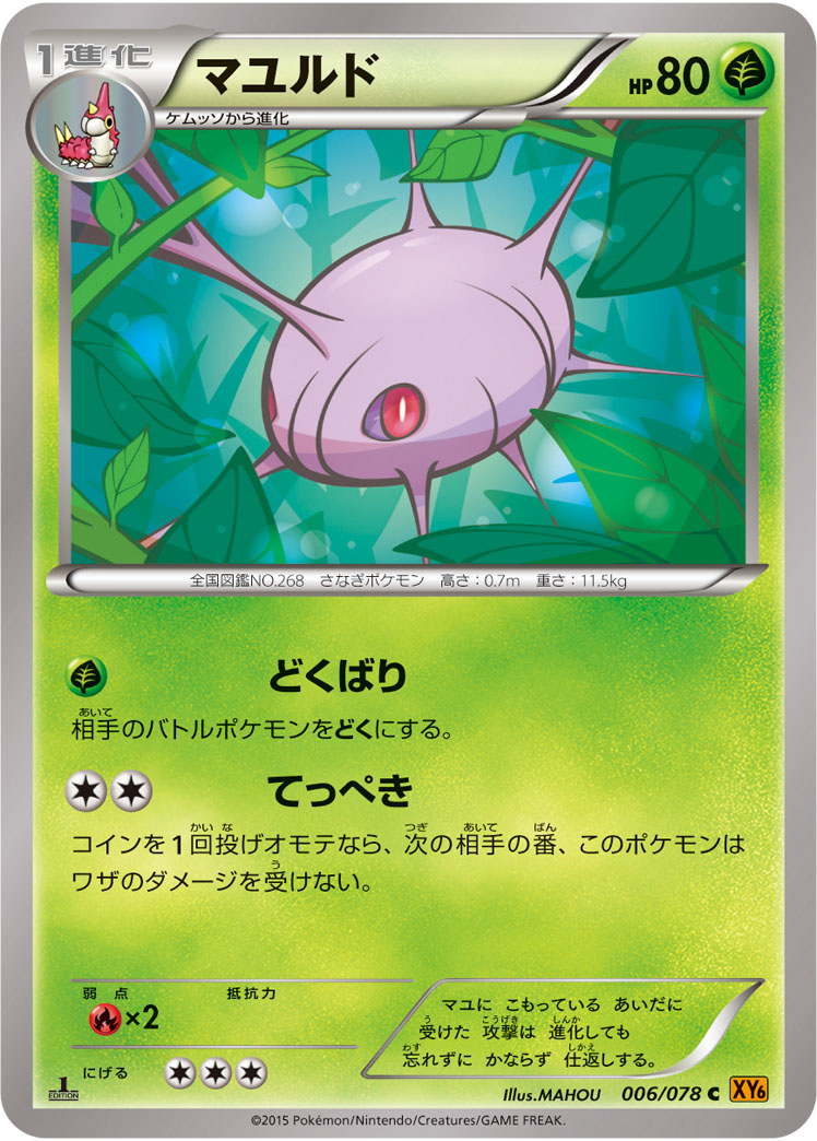 マユルド [C_006/078_XY6-B]