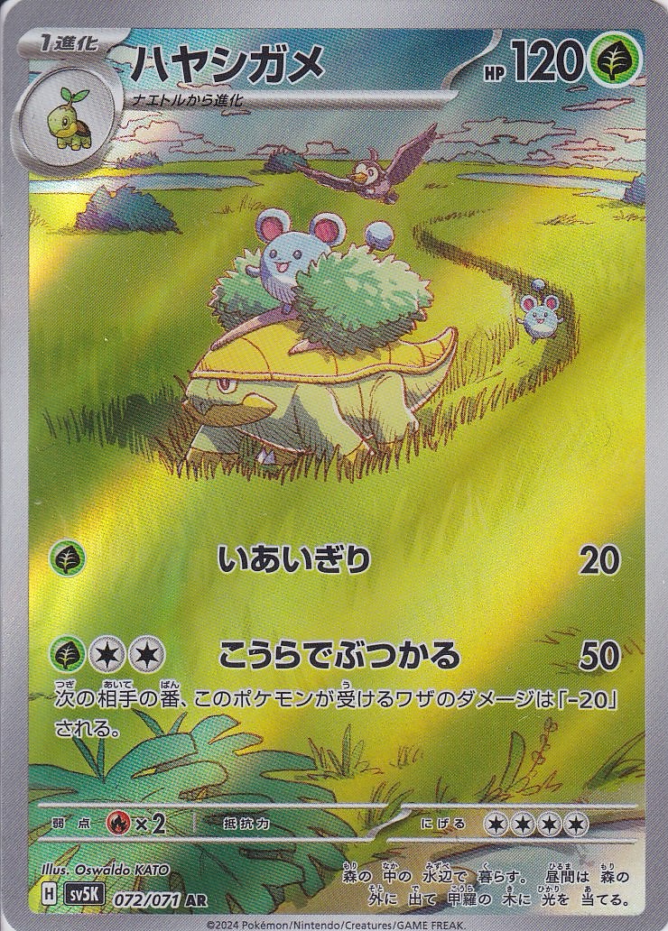 ハヤシガメ [AR_072/071_SV5K]