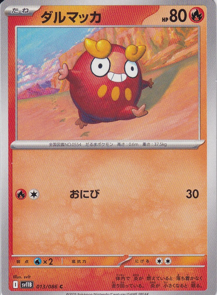 ダルマッカ [C_013/086_SV11B]