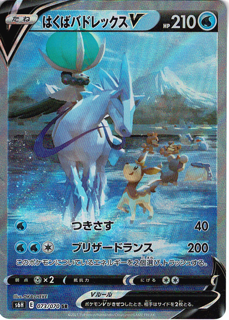 はくばバドレックスV [SR_073/070_S6H]