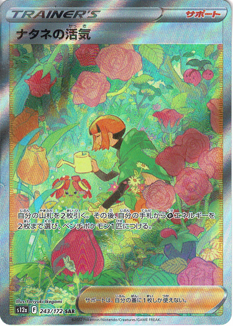 ナタネの活気 [SAR_243/172_S12a]