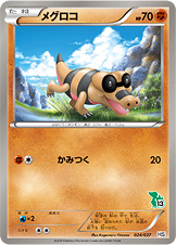 メグロコ [-_024/037_HSt]