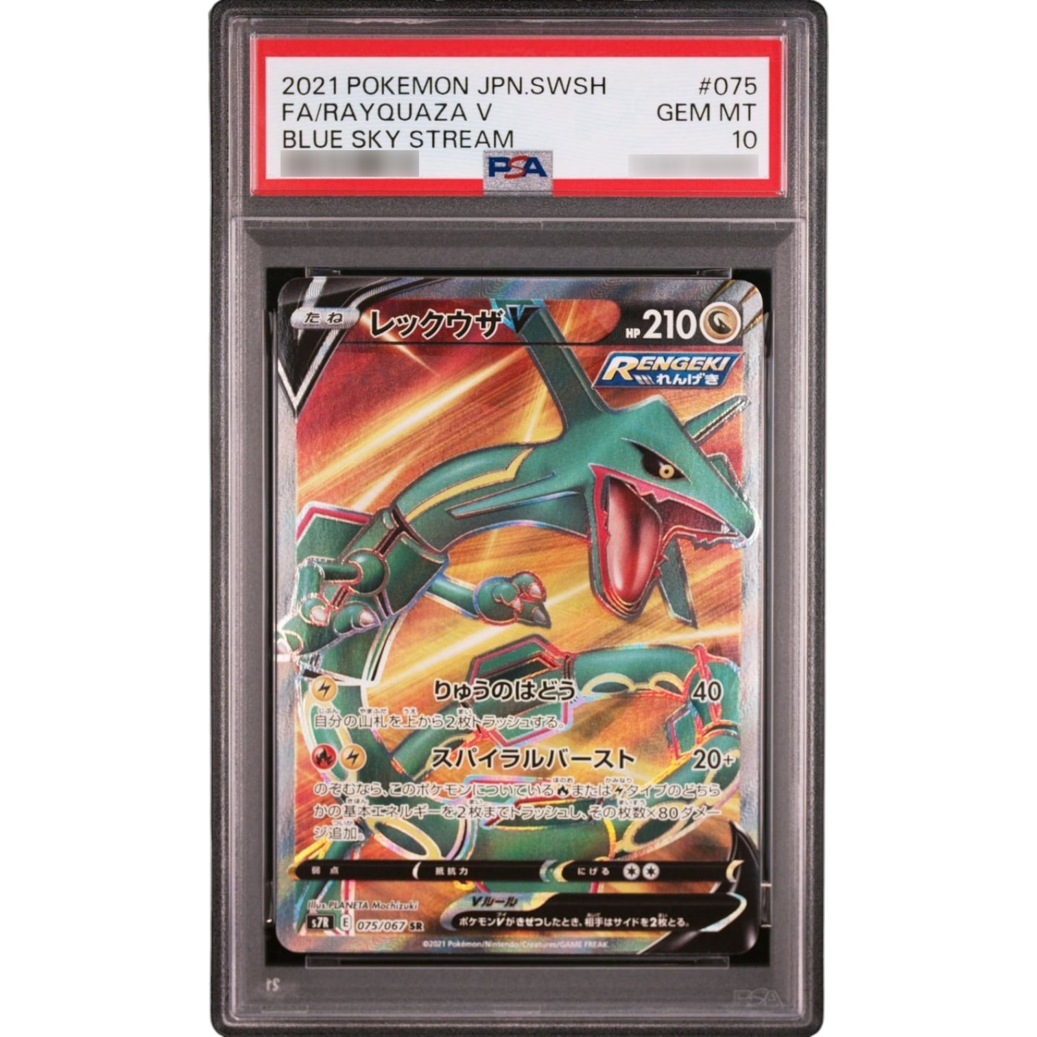 【PSA10】 メガガルーラEX SAR PSA10 メガガルーラex SAR PSA10 メガガルーラex SAR ポケカ