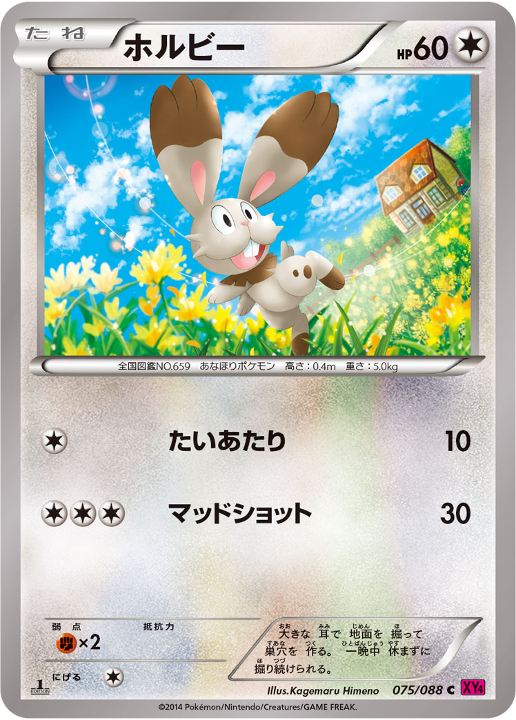 ホルビー [C_075/088_XY4]