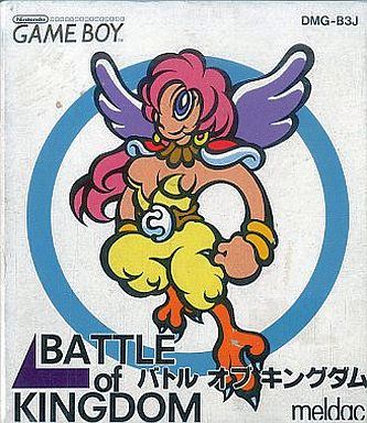 バトル オブ キングダム
