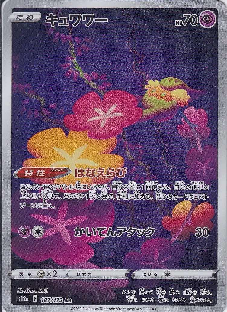 キュワワー [AR_187/172_S12a]