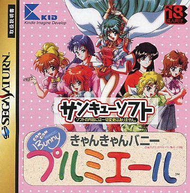 きゃんきゃんバニー プルミエール (39シリーズ)