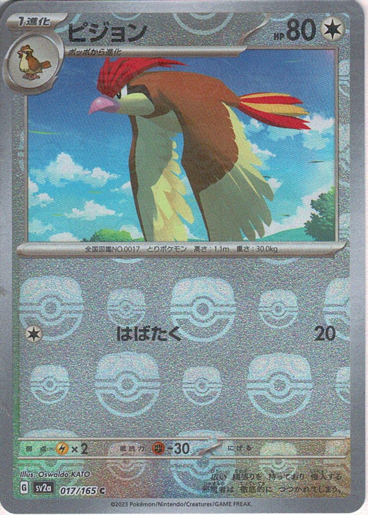 ピジョン [C_017/165_SV2a] (マスターボール)