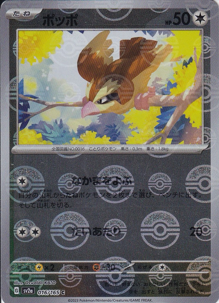 ポッポ [C_016/165_SV2a] (モンスターボール)