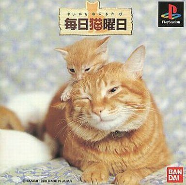 毎日猫曜日