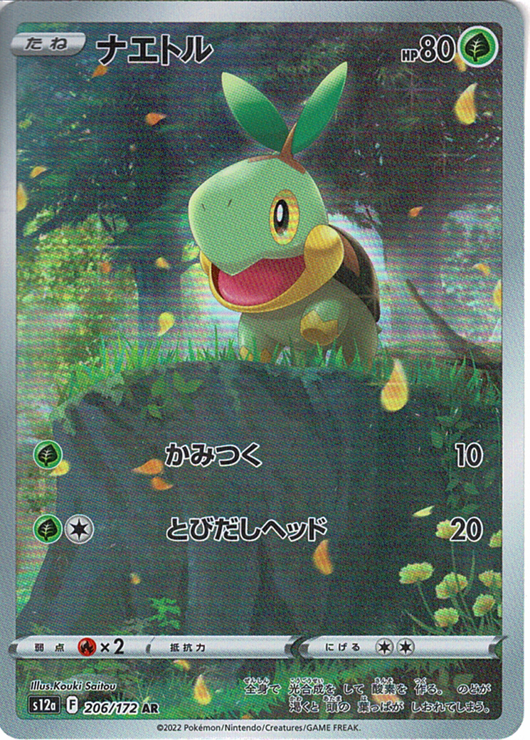 ナエトル [AR_206/172_S12a]