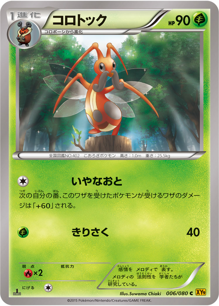 コロトック [C_006/080_XY9-B]