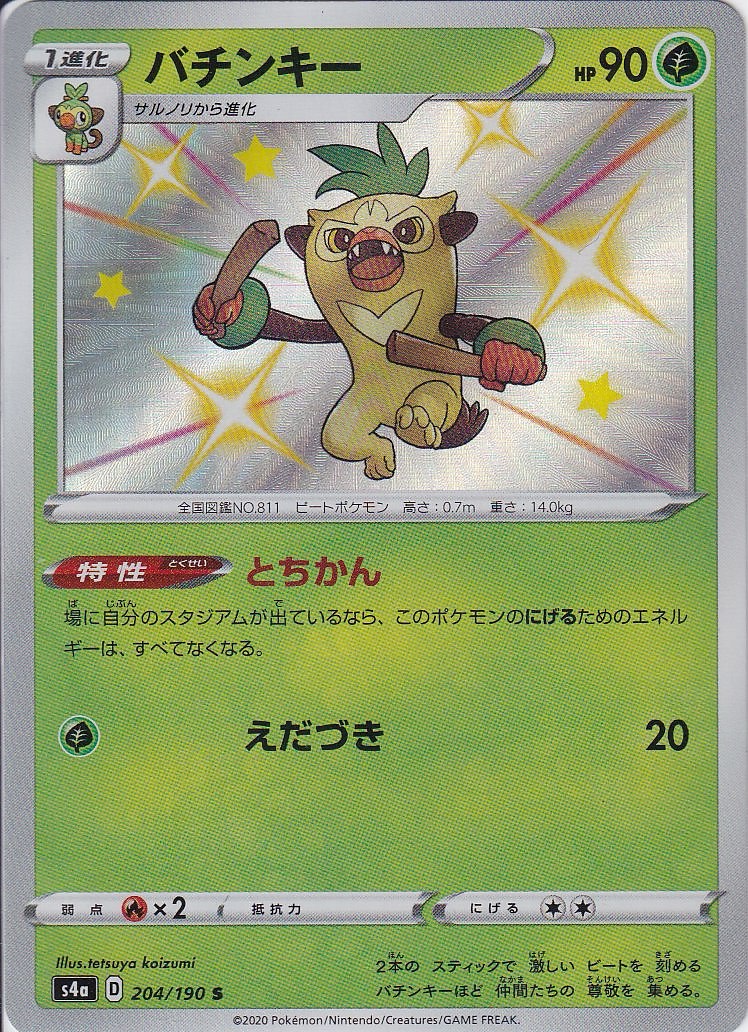 バチンキー [S_204/190_S4a]