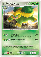 ハヤシガメ LV.26 [-_002/013_DPt-EPg]