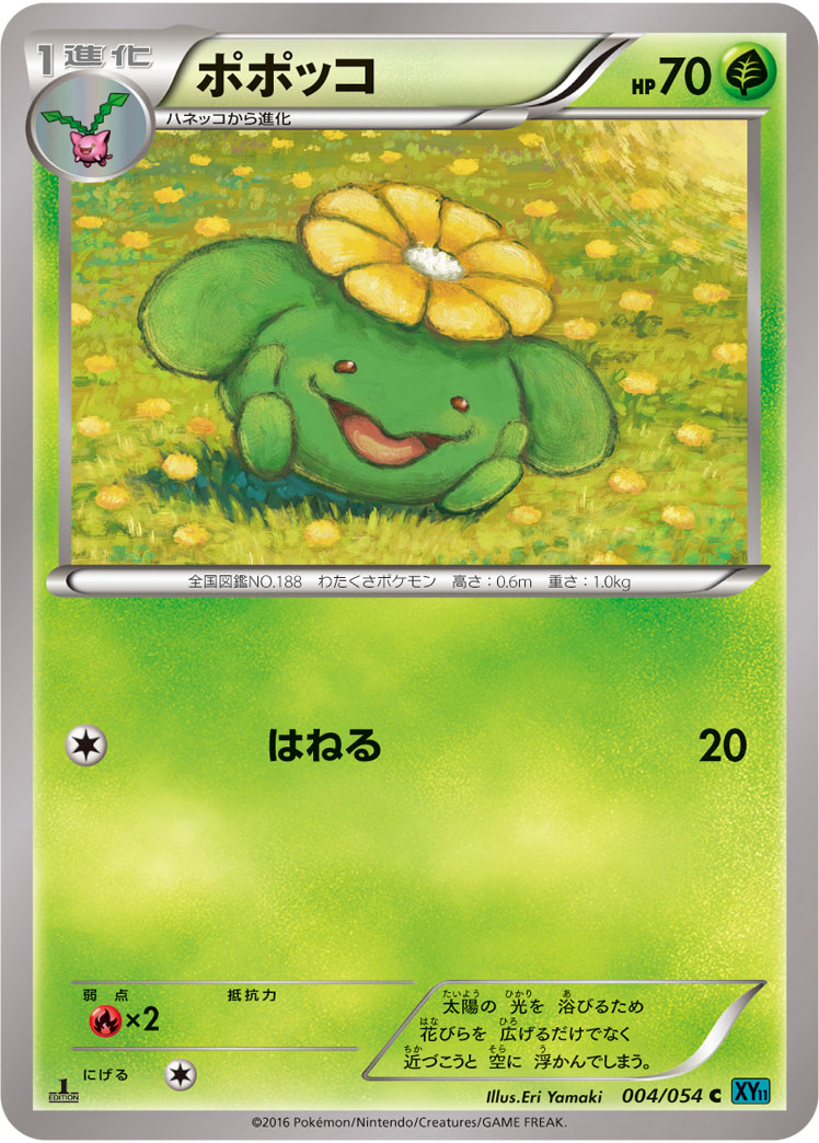 ポポッコ [C_004/054_XY11-Br]