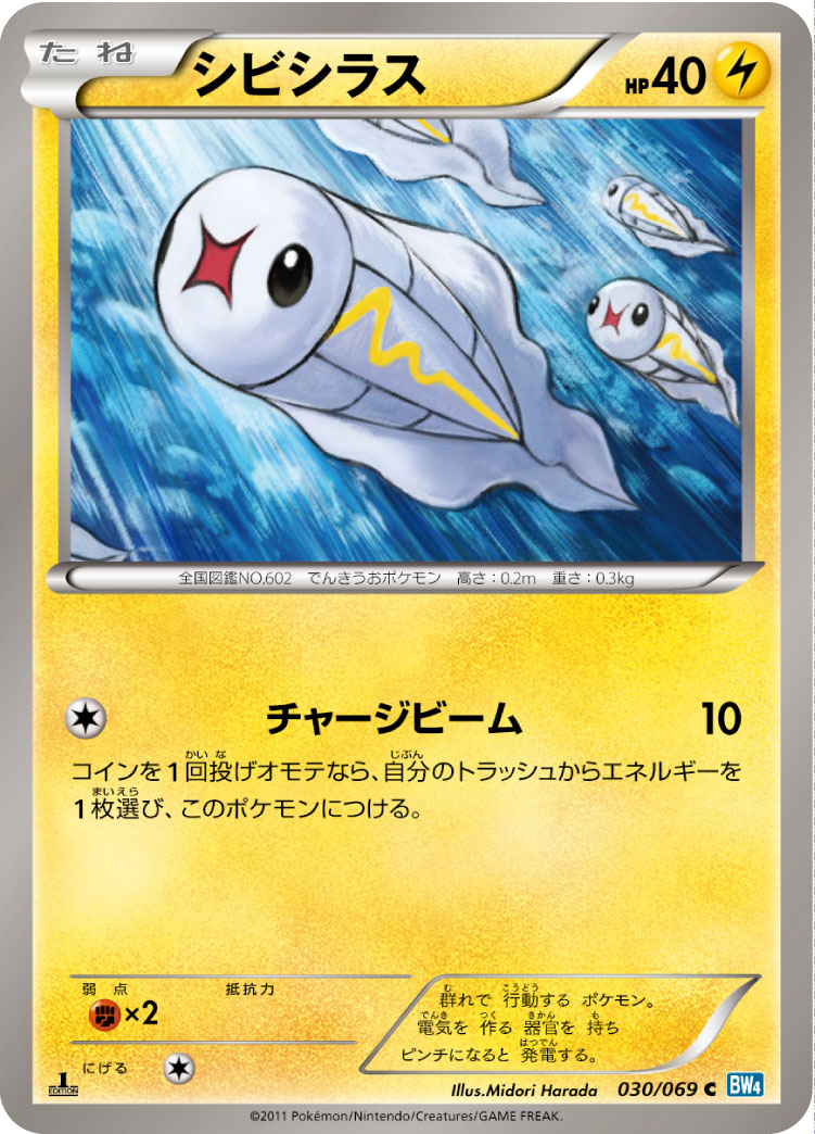 シビシラス [C_030/069_BW4-B]