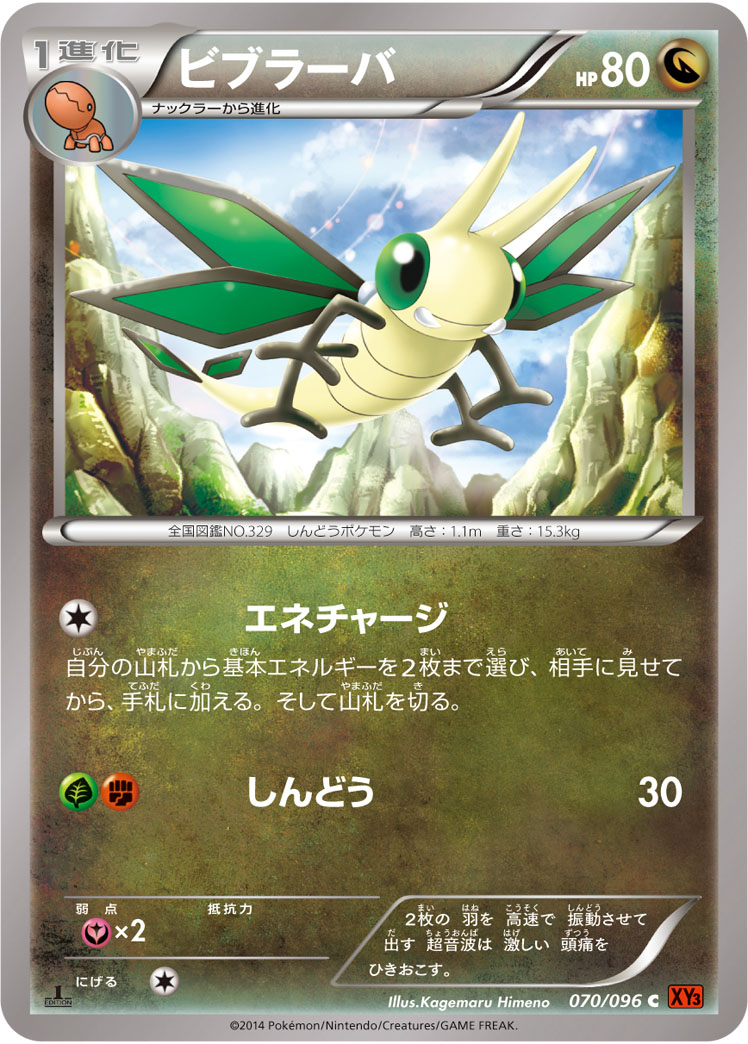 ビブラーバ [C_070/096_XY3]