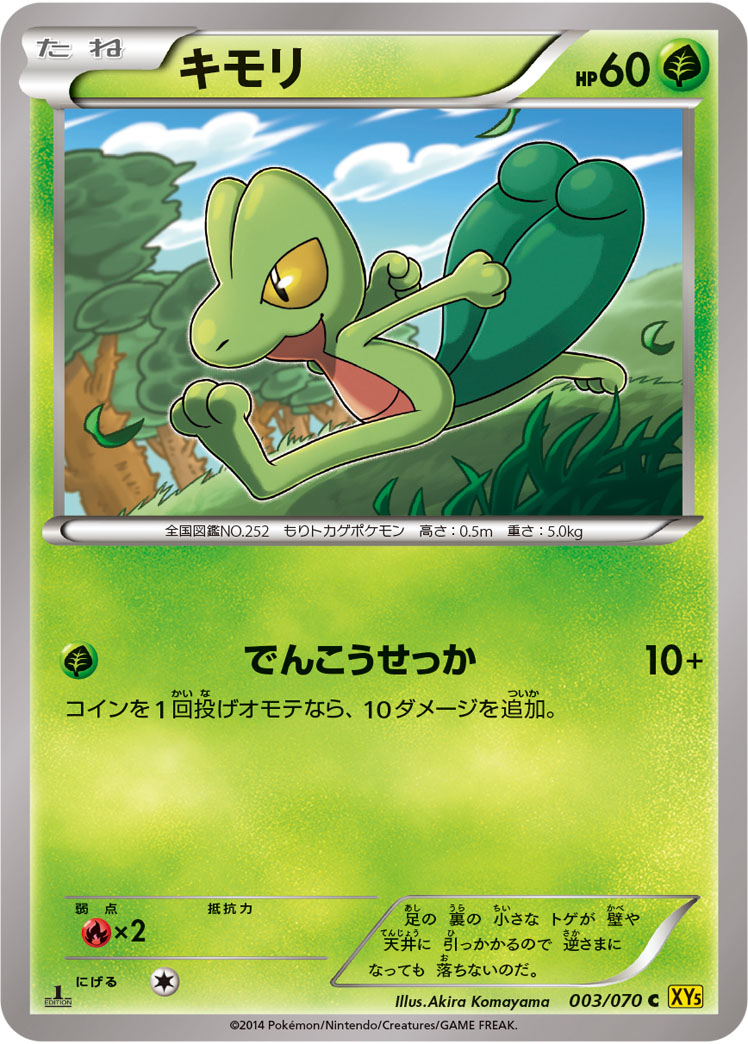 キモリ [C_003/070_XY5-Bg]