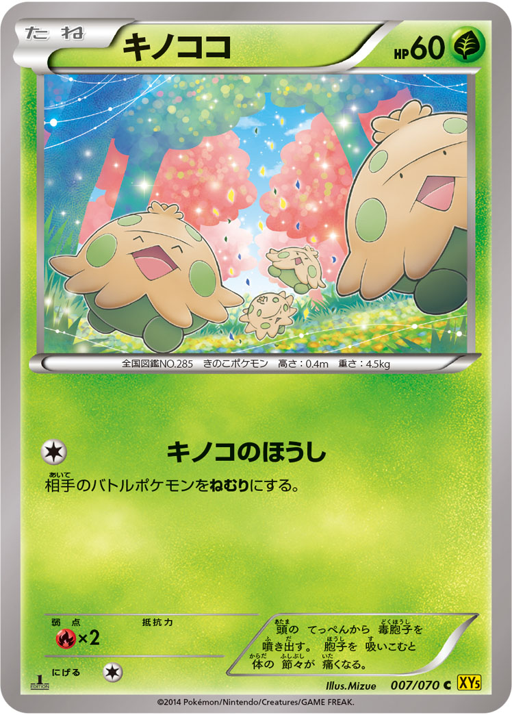 キノココ [C_007/070_XY5-Bg]