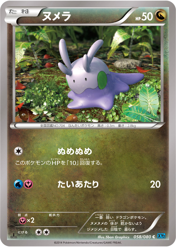 ヌメラ [C_058/080_XY2]