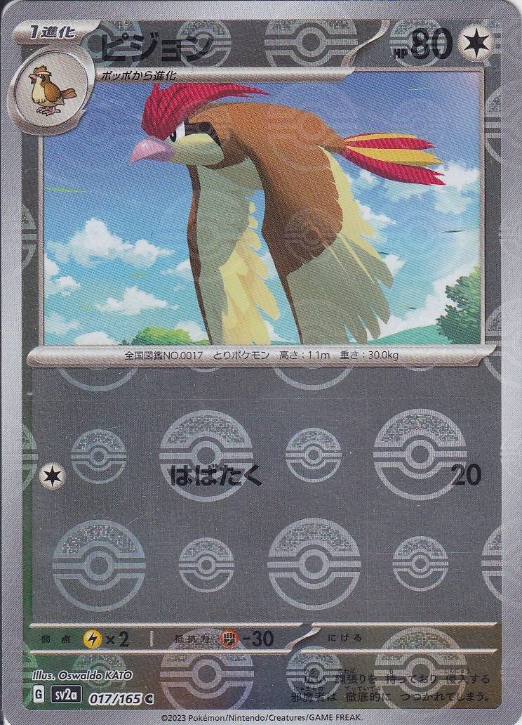 ピジョン(SV2a 017/165)