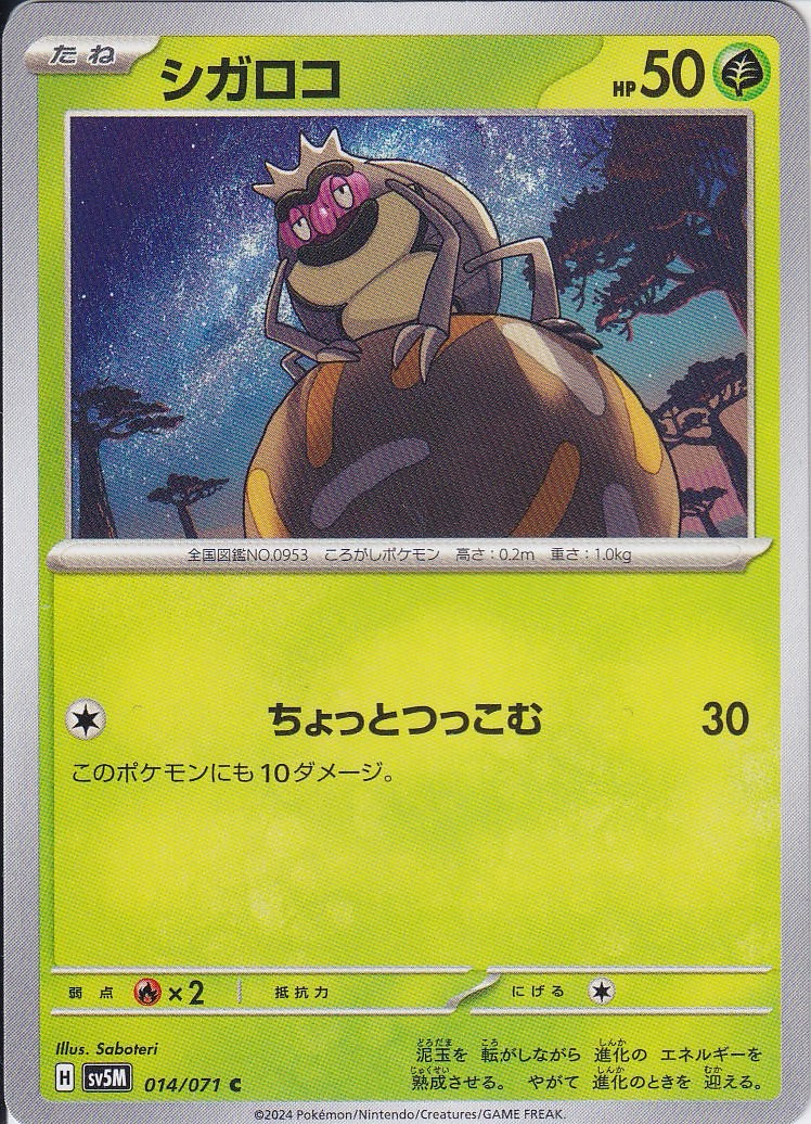 シガロコ [C_014/071_SV5M]