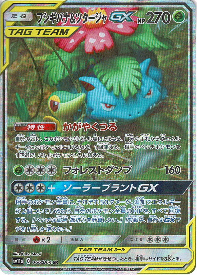 フシギバナ&ツタージャGX [SR_066/064_SM11a]