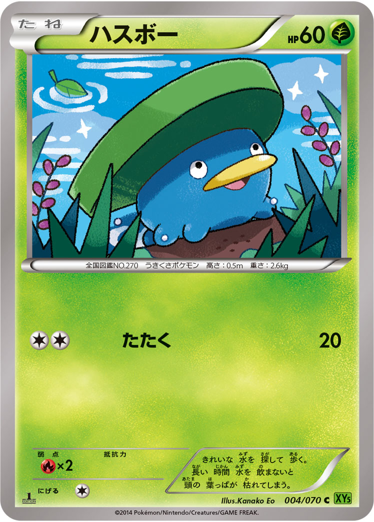 ハスボー [C_004/070_XY5-Bt]